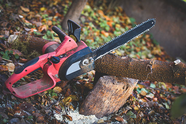 Lawn Maintenance Plans in Orangevale, CA